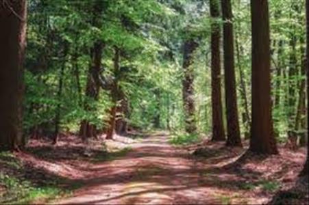 Sfeervolle stacaravan op de Veluwe te huur